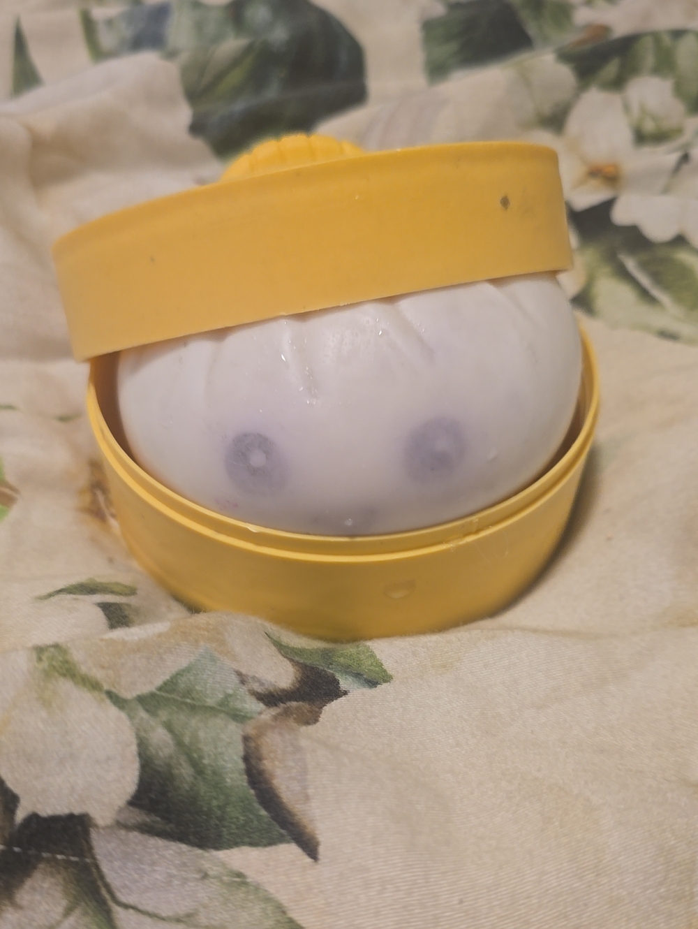 Dumpling Toy Fun!
